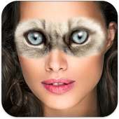 Animal Eye Photos on 9Apps