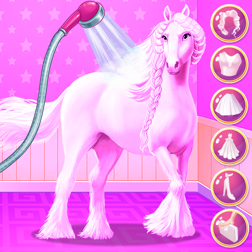 PHC Braided Hair Wedding icon