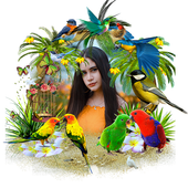 Love Birds Photo Frames Insta DP icon