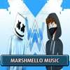 Marshmello Songs Offline 50 Music without internet