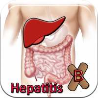 Hepatitis b treatment