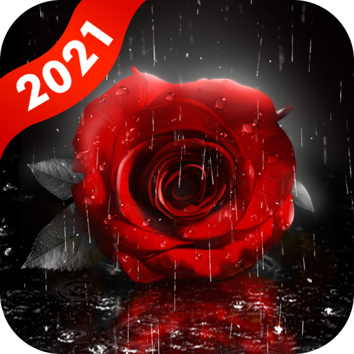 Red Rose Live Wallpapers Themes icon