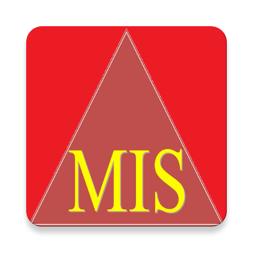 Management Information System icon