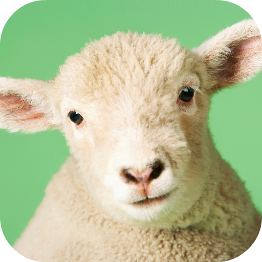 Sheep Sounds أيقونة