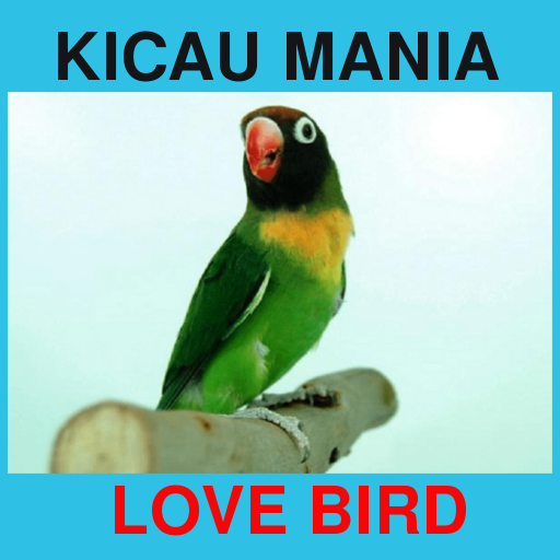 Suara Kicau Love Bird Juara Offline icon