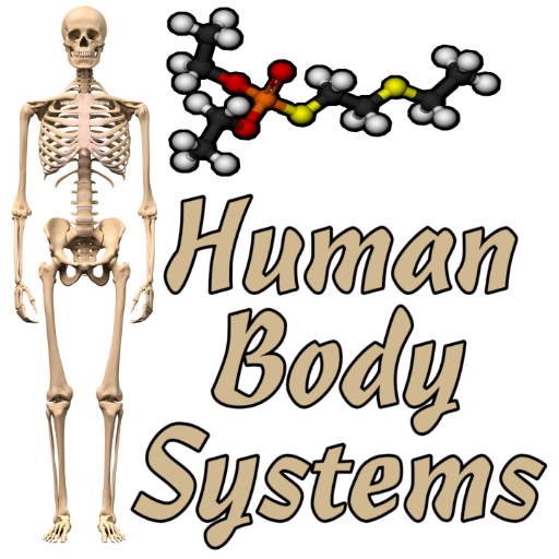 Human Body Systems icon