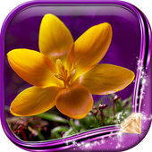 Flowers Live Wallpaper HD icon