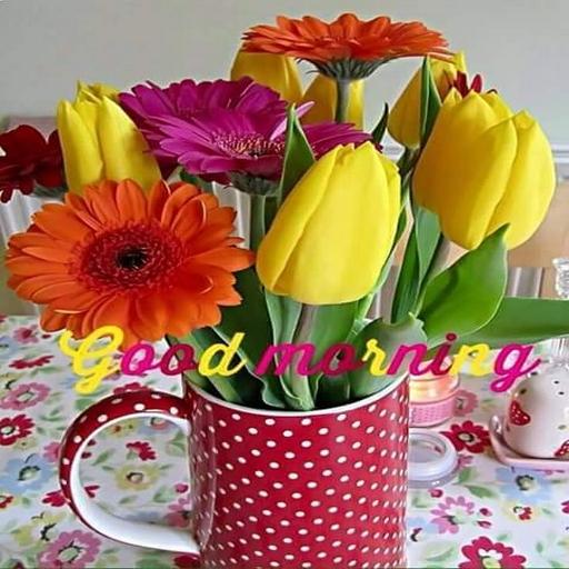 Good Morning Flowers Images icon