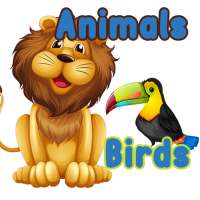 Animal and Birds for Kids on 9Apps