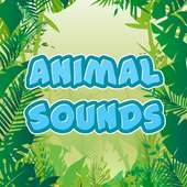 Animal Sounds