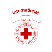 International Call icon