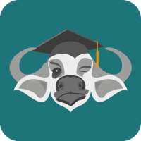 Bueffler - Deine Lern-App