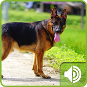 Dog Sounds icon