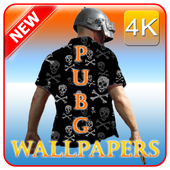 wallpapers pubg 4k icon