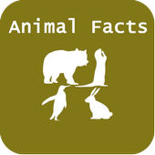 Animal Facts icon
