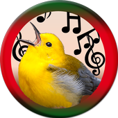 Bird Sounds icon