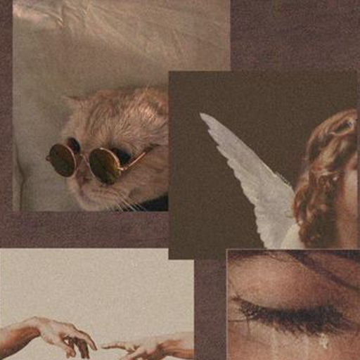 Brown Aesthetic Wallpaper Offline icon