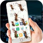 Ants On Screen Funny Joke