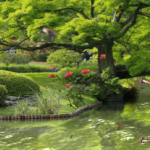 Birds Park Live Wallpaper icon