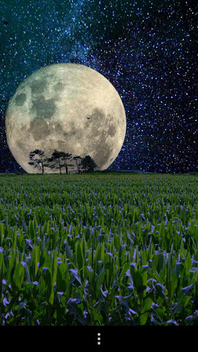 Cornfield Live Wallpaper screenshot 4