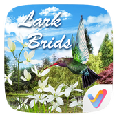 Lark Birds 3D V Launcher Theme icon