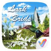 Lark Birds 3D V Launcher Theme on 9Apps