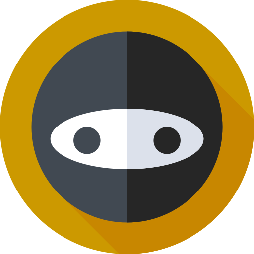 Ninjagram icon
