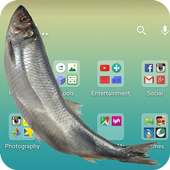 Ikan di layar on 9Apps