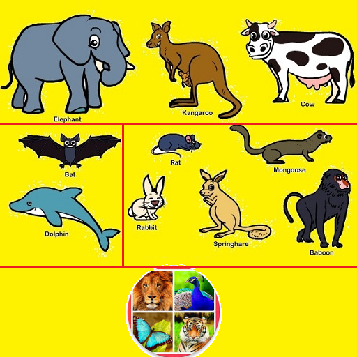 Learn Animal Bangla icon