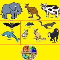 Learn Animal Bangla on 9Apps