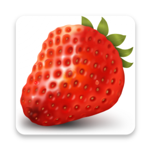 Fruit Puzzle icon