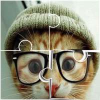 Jigsaw Puzzle Funny Cute Cats