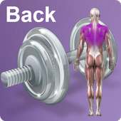 Daily Back Video Workouts