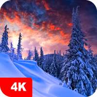 Papéis de parede de inverno 4K