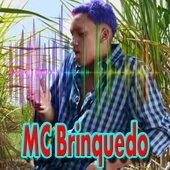 Música MC.Brinquedo: Sem internet icon
