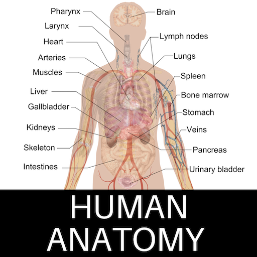 Human Anatomy icon