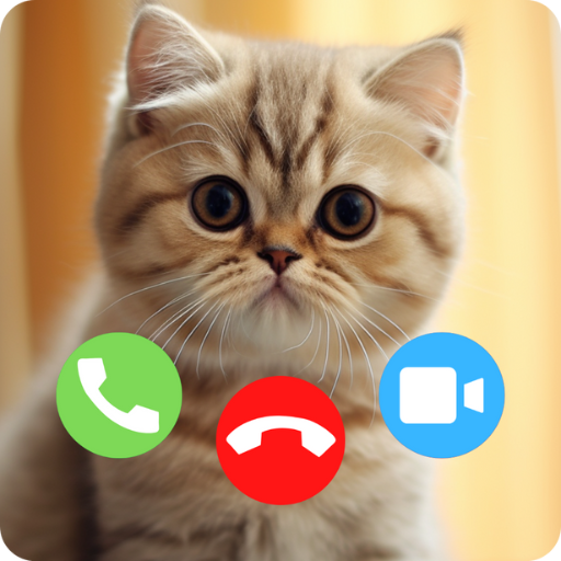 Cat Fake Call &amp; Cat Wallpaper icon