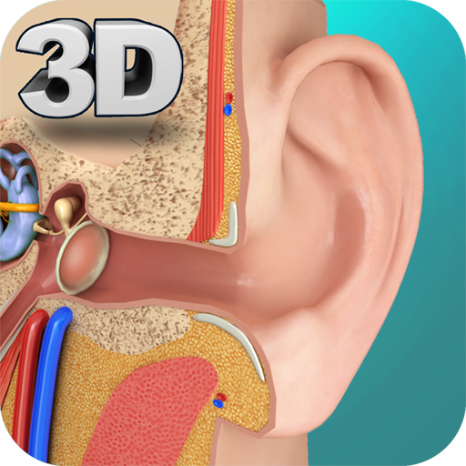 Ear Anatomy Pro. icon