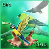 Bird Ringtones 2016 on 9Apps