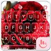 Carola TouchPal Keyboard Theme icon