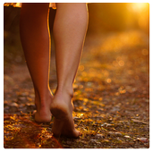 Walking for Weight Loss E-book icon