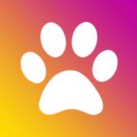 Nombres de perros, gatos, mascotas y más animales