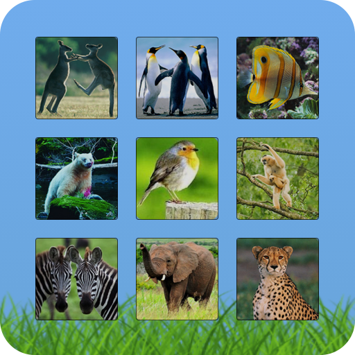 Brain Training: Match and Drag &amp; Drop icon