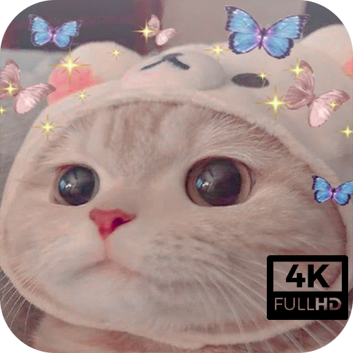 Aesthetic Cute Cat Wallpaper icon
