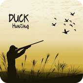 The Hunter: Duck Hunting 3D