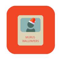 Murus Wallpapers - 2000  HD Free photos