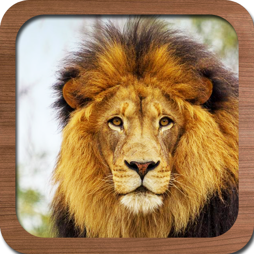 Free Animal Sound Ringtone icon