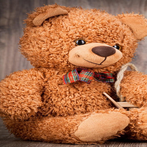 teddy bear wallpapers icon