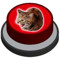 Angry Rage Cat Meow | Meme Prank Button
