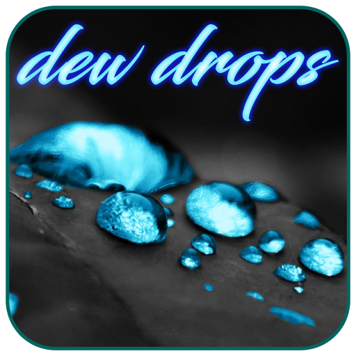Water Dew Drops Live Wallpaper icon